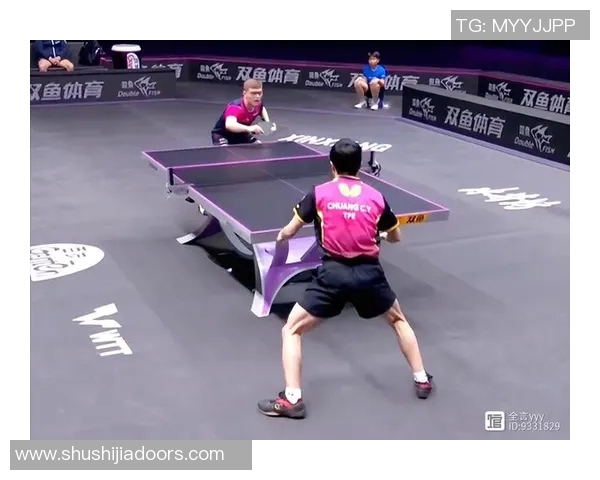 张继科与庄智渊巅峰对决乒乓球赛场上的荣耀与挑战