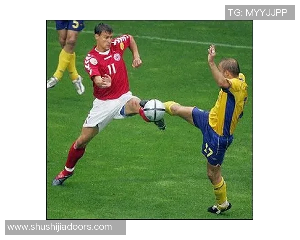 2019年瑞典与丹麦足球比赛比分预测及分析展望