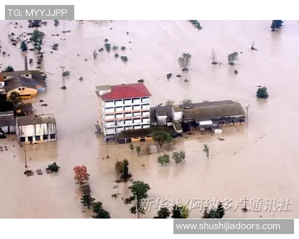 安特卫普与卢多激战正酣谁能在这场较量中脱颖而出