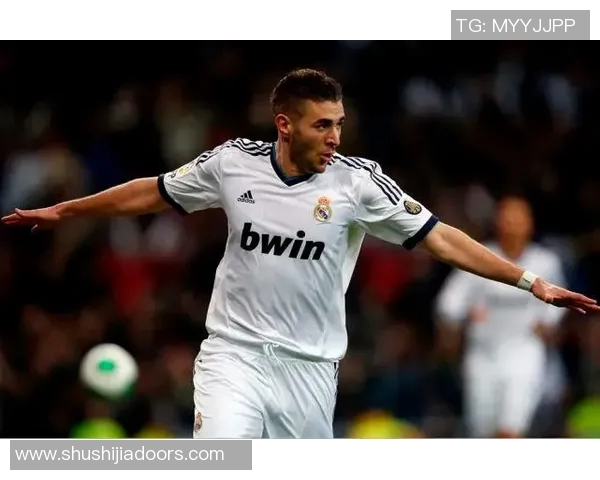 本泽马：从足球天才到世界级前锋的传奇旅程与成就解析