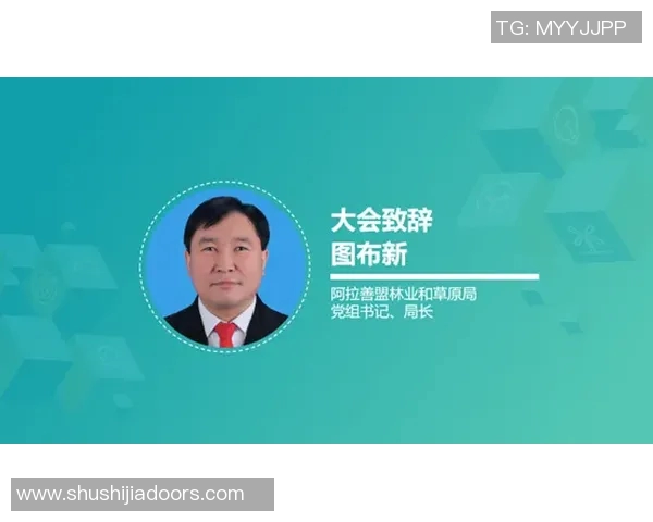 石鑫的奋斗历程与人生哲学探讨:从平凡到卓越的心路历程 石鑫的奋斗历程与人生哲学探讨:从平凡到卓越的心路历程