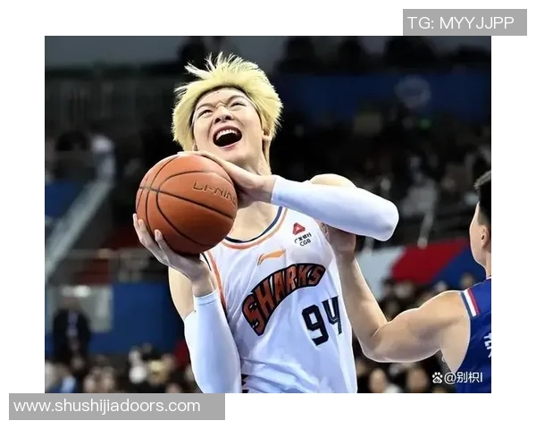 王哲林的篮球之路：从新星崛起到国家队核心的奋斗历程与成就分析