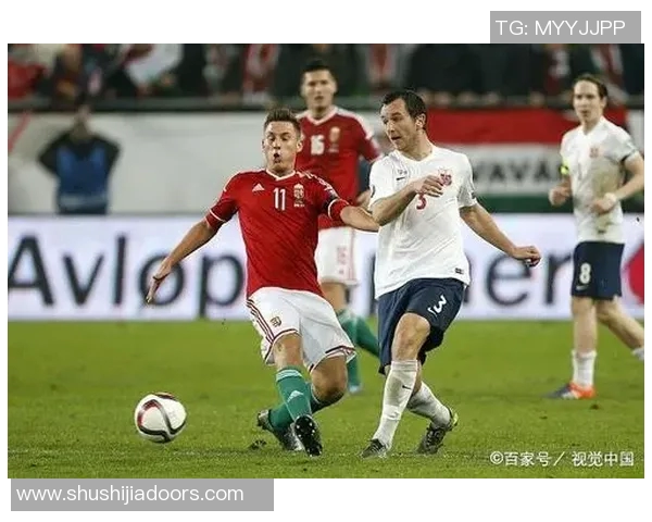 威尔士与斯洛伐克比赛前瞻分析及胜负预测全解析